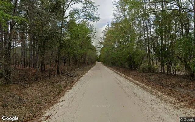 Decorative background for 125.65 Acres in Camilla - Mitchell County, GA image 6