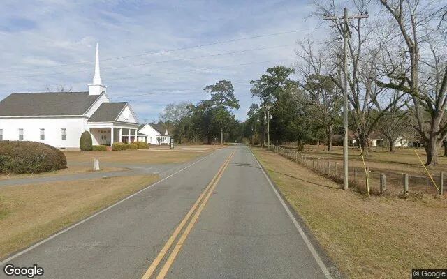 Decorative background for 0.64 Acres in Calvary - Grady County, GA image 5