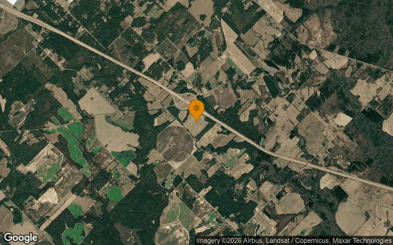 123.36 Acres in Danville - Twiggs County, GA in Twiggs County, GA