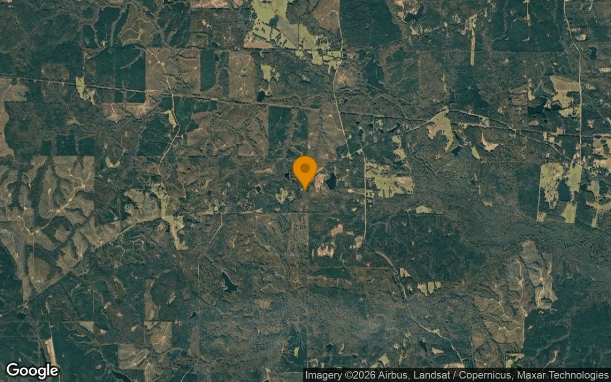 0.31 Acres in Musella - Crawford County, GA - Image 3