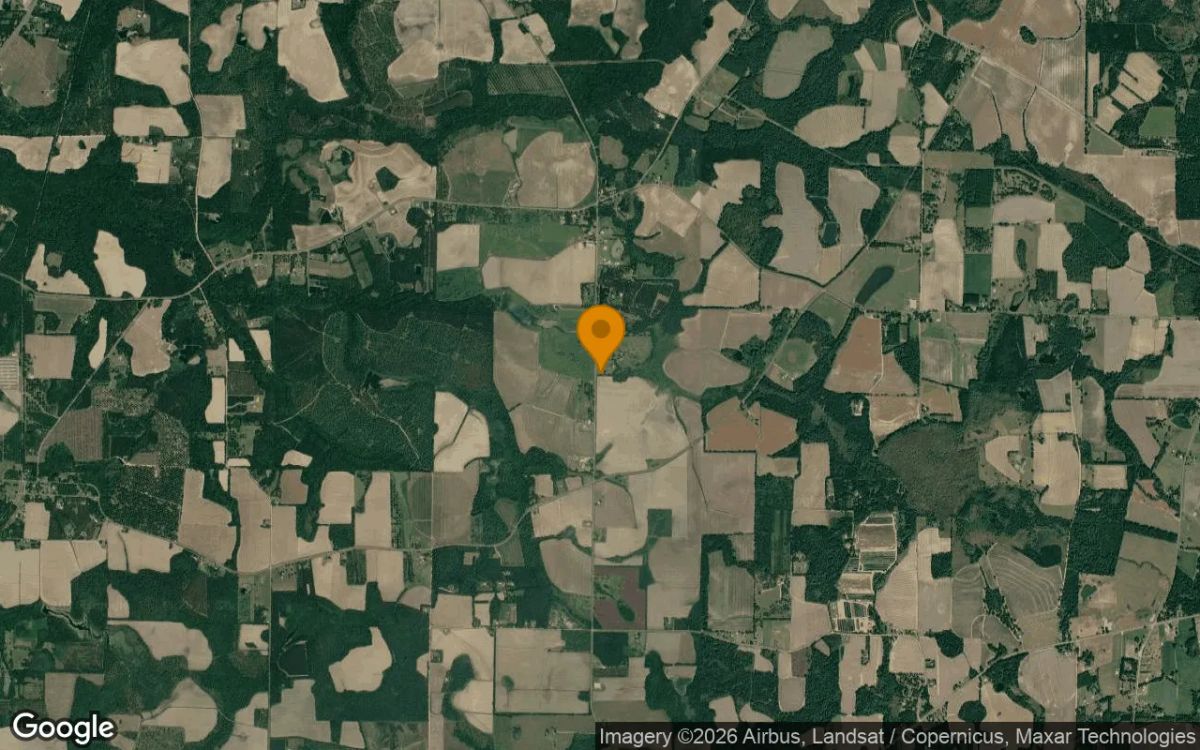 0.54 Acres in Pavo - Thomas County, GA - Image 3