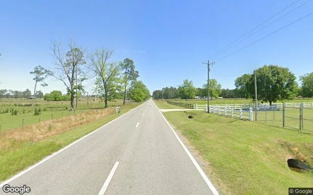 Decorative background for 0.54 Acres in Pavo - Thomas County, GA image 5