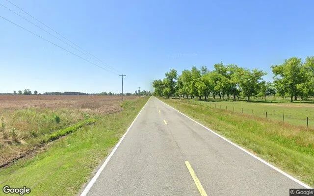 Decorative background for 0.54 Acres in Pavo - Thomas County, GA image 6
