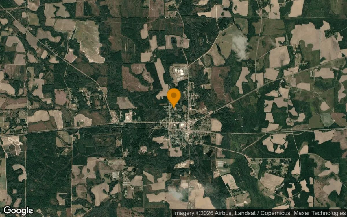 0.34 Acres in Nicholls - Coffee County, GA - Image 3
