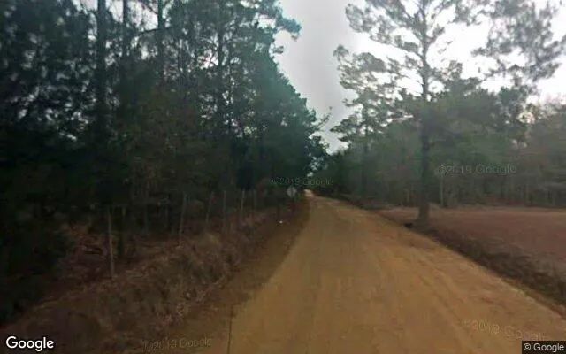 Decorative background for 0.55 Acres in Uvalda - Montgomery County, GA image 5