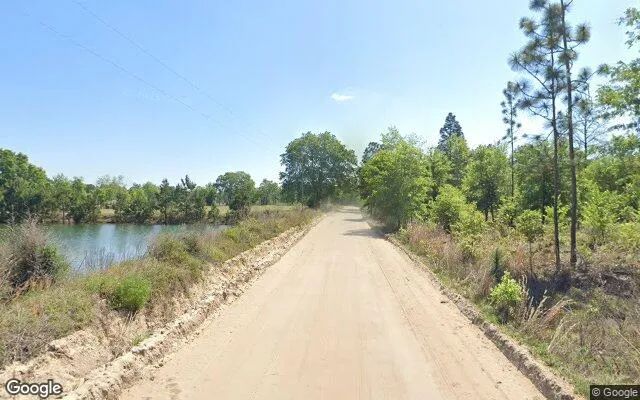 Decorative background for 7.34 Acres in Glennville - Long County, GA image 6
