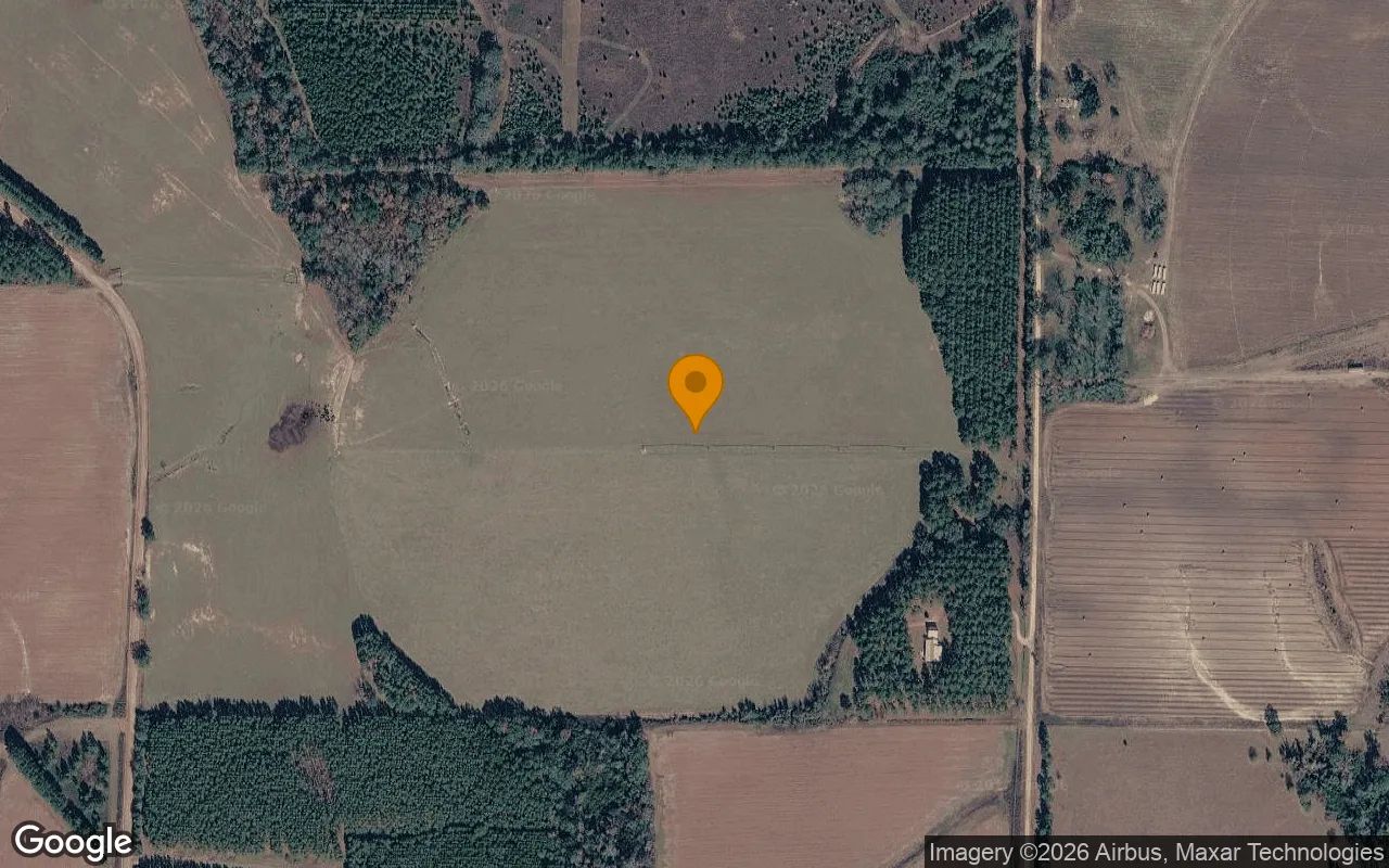 74.46 Acres in Edison - Calhoun County, GA in Calhoun County, GA