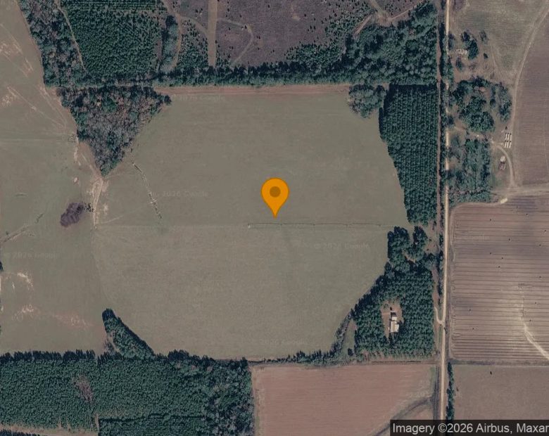 74.46 Acres in Edison - Calhoun County, GA in Calhoun County, GA