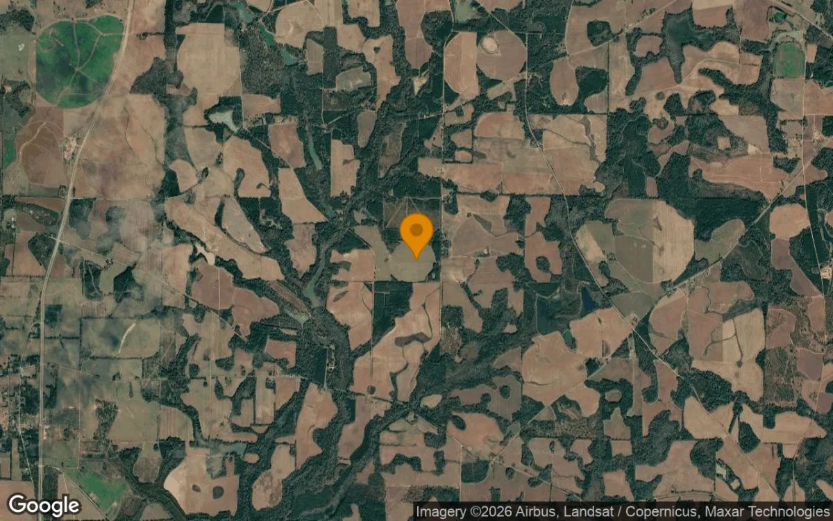 74.46 Acres in Edison - Calhoun County, GA - Image 3