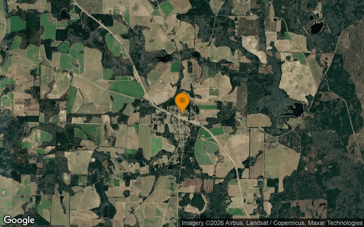 0.13 Acres in Morven - Brooks County, GA - Image 3