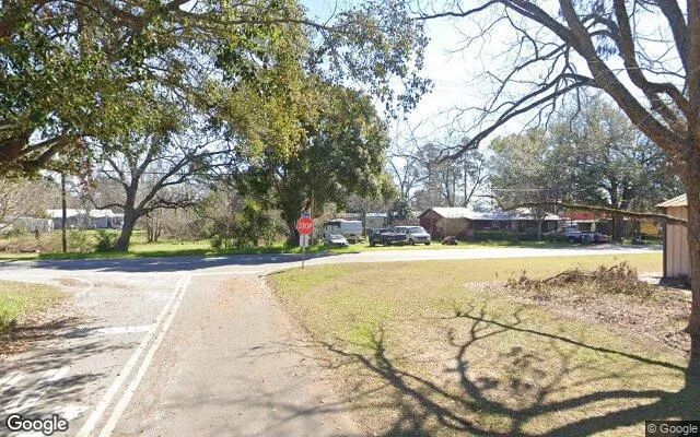 Decorative background for 0.13 Acres in Morven - Brooks County, GA image 6