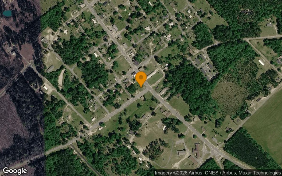 0.13 Acres in Chester - Dodge County, GA - Main image