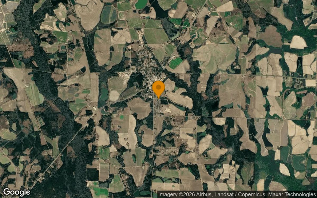 0.2 Acres in Omega - Tift County, GA - Image 3