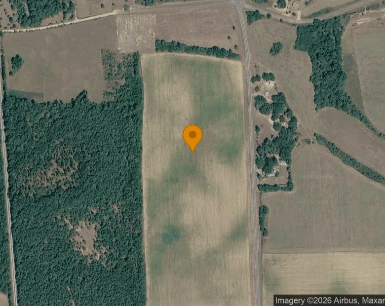 35.26 Acres in Mauk - Taylor County, GA in Taylor County, GA