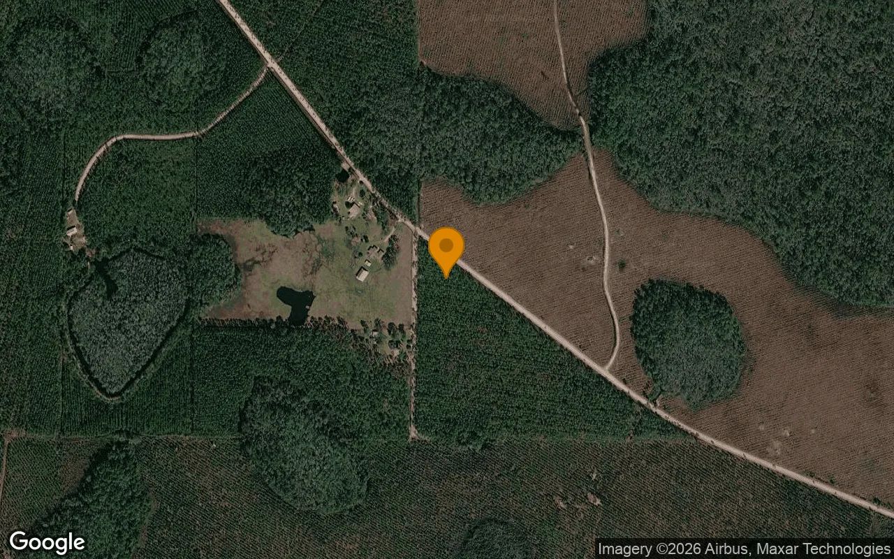 3.17 Acres in Fargo - Echols County, GA in Echols County, GA
