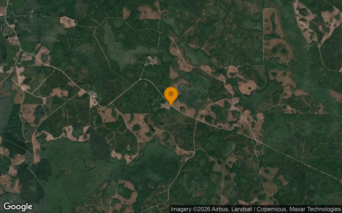 3.17 Acres in Fargo - Echols County, GA - Image 3