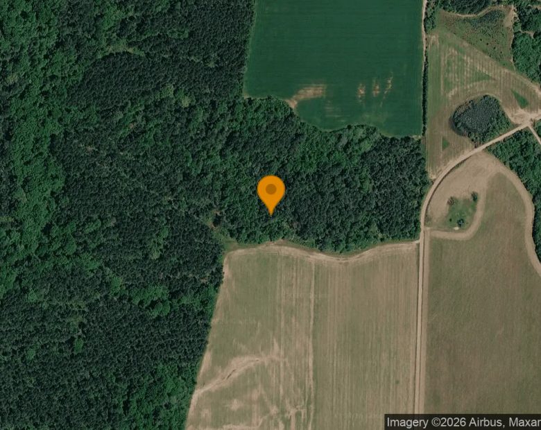 125.04 Acres in Byromville - Dooly County, GA in Dooly County, GA