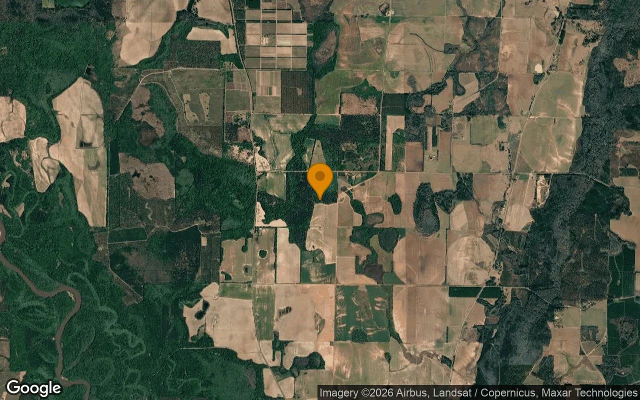 125.04 Acres in Byromville - Dooly County, GA in Dooly County, GA