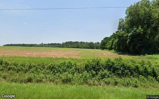 125.04 Acres in Byromville - Dooly County, GA - Image 4