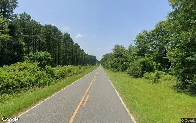 Decorative background for 125.04 Acres in Byromville - Dooly County, GA image 6