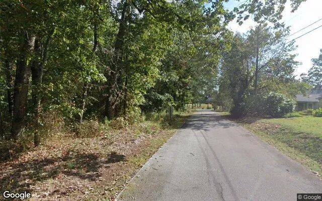 Decorative background for 0.11 Acres in Mount Zion - Carroll County, GA image 6
