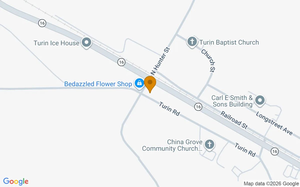 0.19 Acres in Turin - Coweta County, GA - Image 2