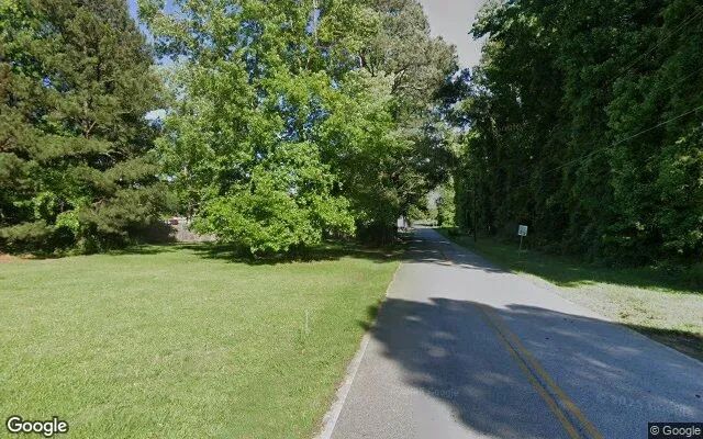 Decorative background for 0.19 Acres in Turin - Coweta County, GA image 6