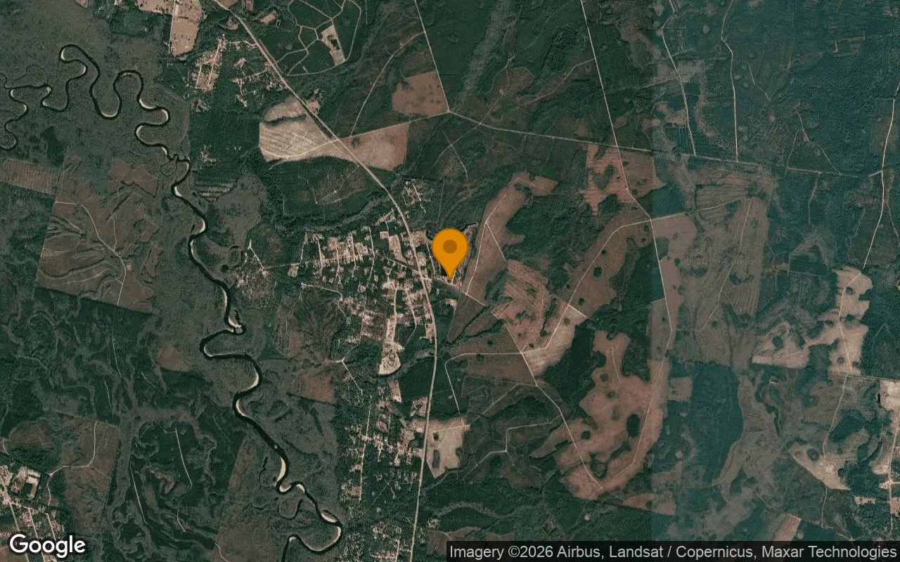 0.57 Acres in Hortense - Brantley County, GA in Brantley County, GA