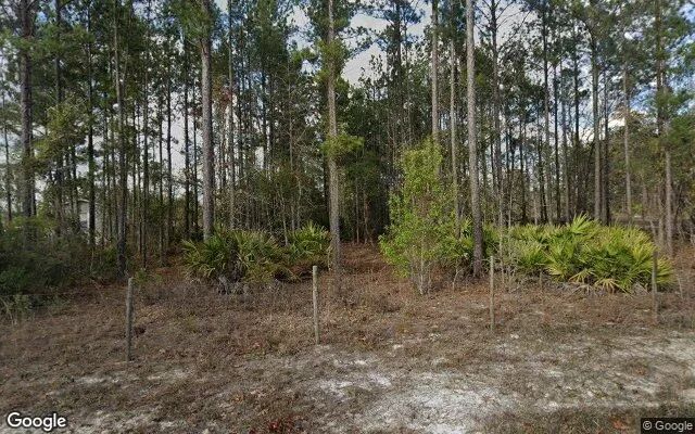 0.57 Acres in Hortense - Brantley County, GA - Image 4