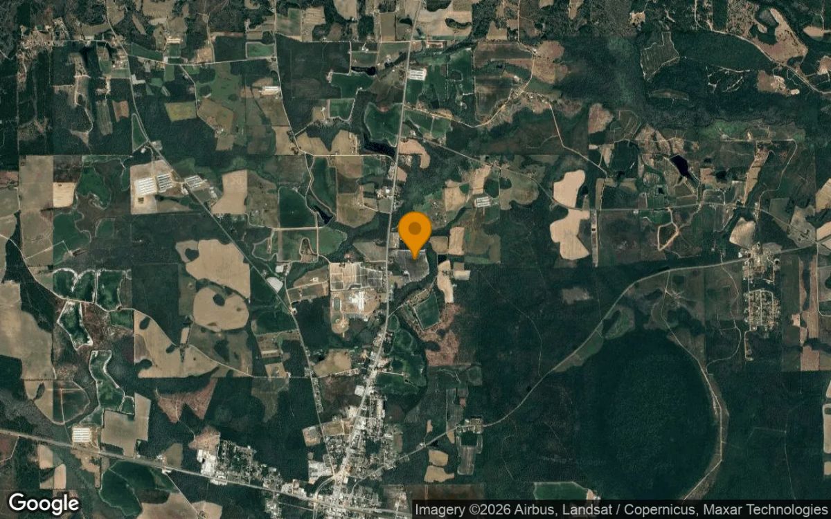35.49 Acres in Pearson - Atkinson County, GA - Image 3