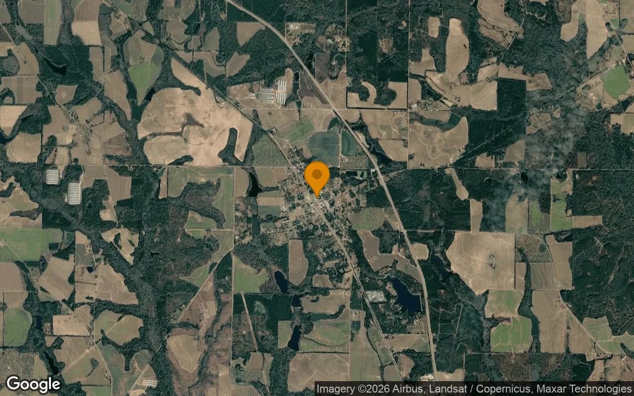 0.22 Acres in Meigs - Thomas County, GA in Thomas County, GA