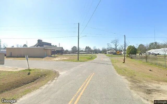 Decorative background for 0.22 Acres in Meigs - Thomas County, GA image 6