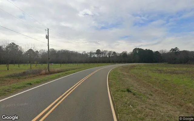 Decorative background for 1.5 Acres in Montezuma - Macon County, GA image 6