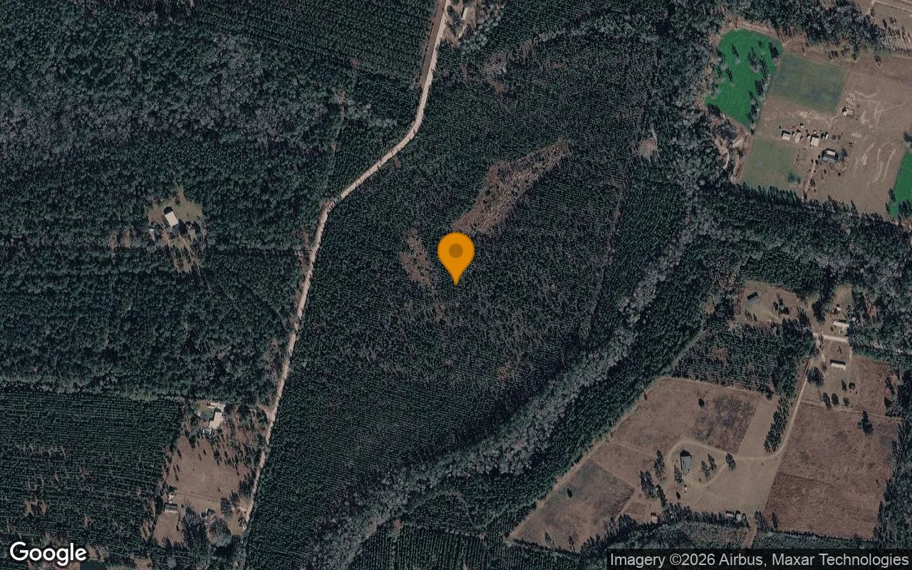 35.99 Acres in Folkston - Charlton County, GA in Charlton County, GA