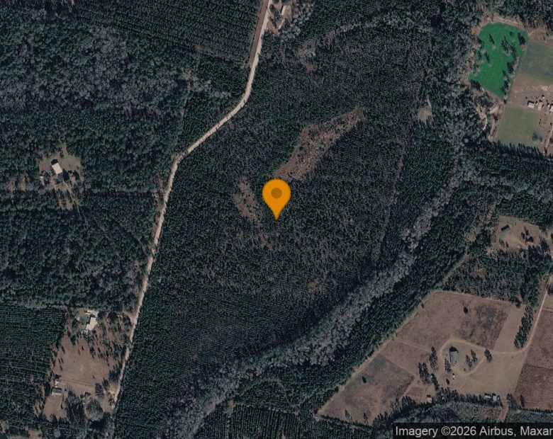35.99 Acres in Folkston - Charlton County, GA in Charlton County, GA
