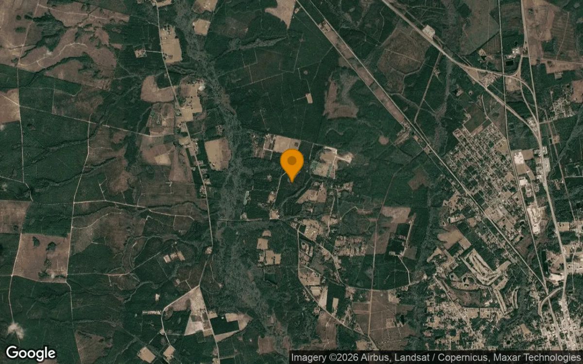 35.99 Acres in Folkston - Charlton County, GA - Image 3