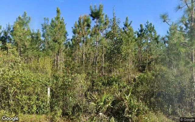 35.99 Acres in Folkston - Charlton County, GA - Image 4