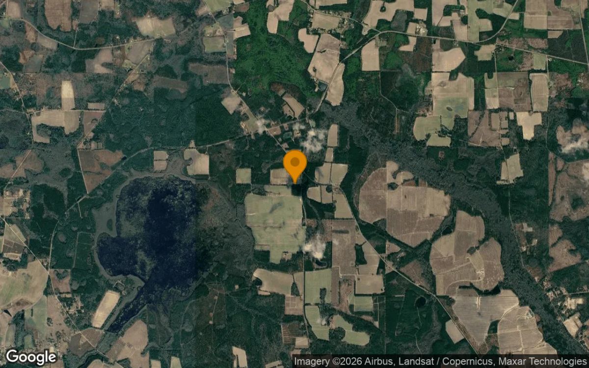 3.53 Acres in Lakeland - Lanier County, GA - Image 3