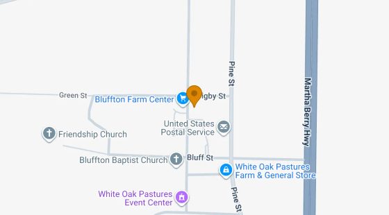0.53 Acres in Bluffton - Clay County, GA in Clay County, GA