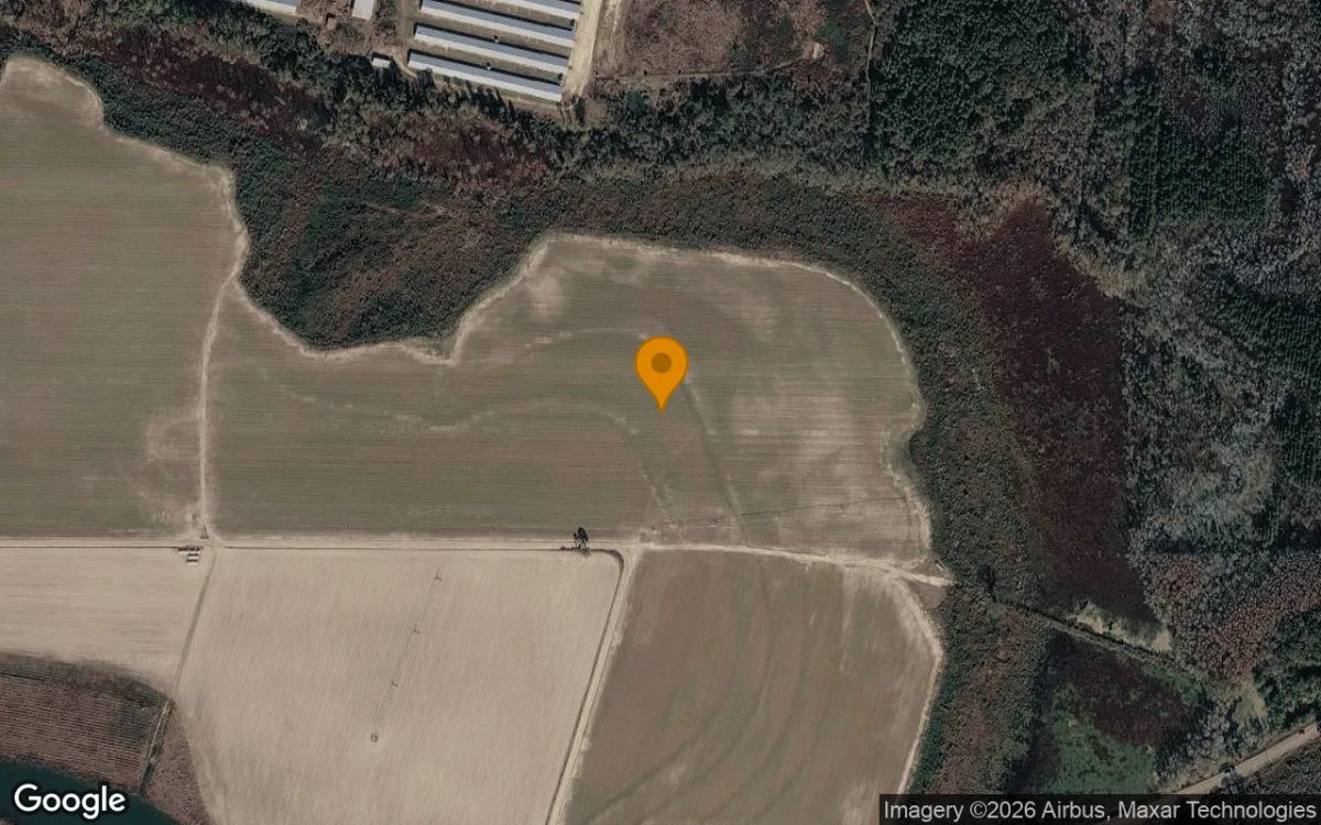 75.25 Acres in Rochelle - Wilcox County, GA - Main image