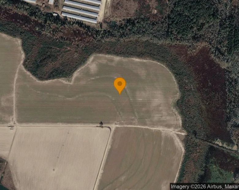 75.25 Acres in Rochelle - Wilcox County, GA in Wilcox County, GA