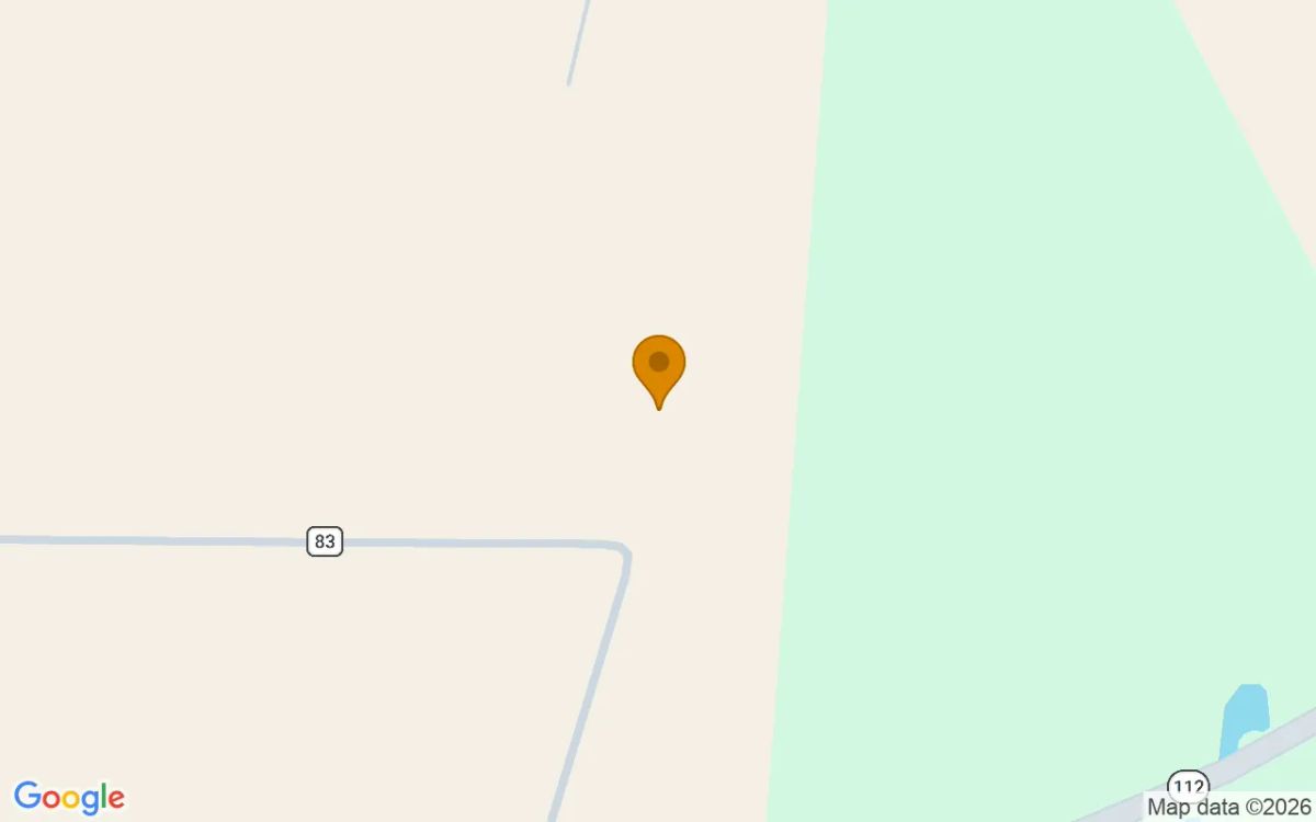 75.25 Acres in Rochelle - Wilcox County, GA - Image 2