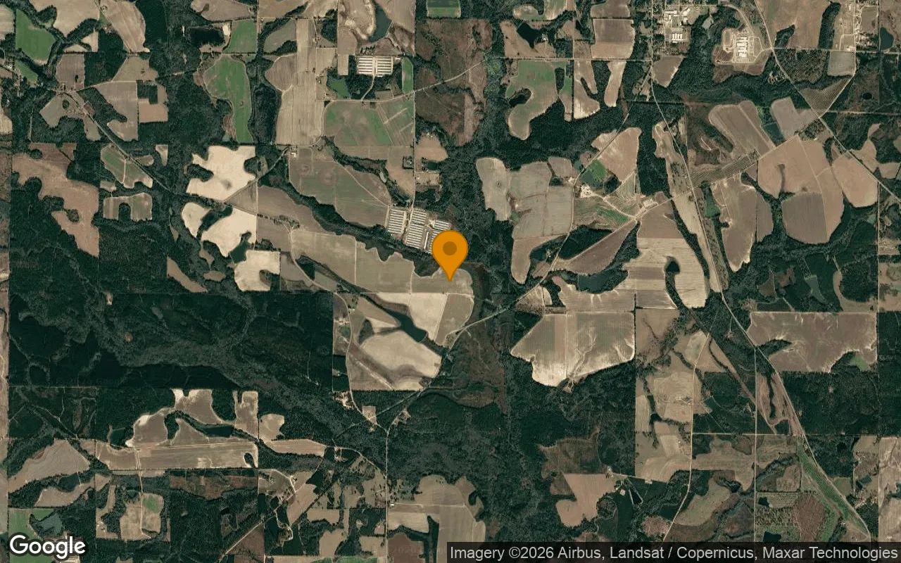 75.25 Acres in Rochelle - Wilcox County, GA in Wilcox County, GA