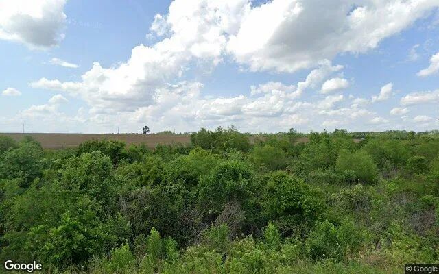 75.25 Acres in Rochelle - Wilcox County, GA - Image 4