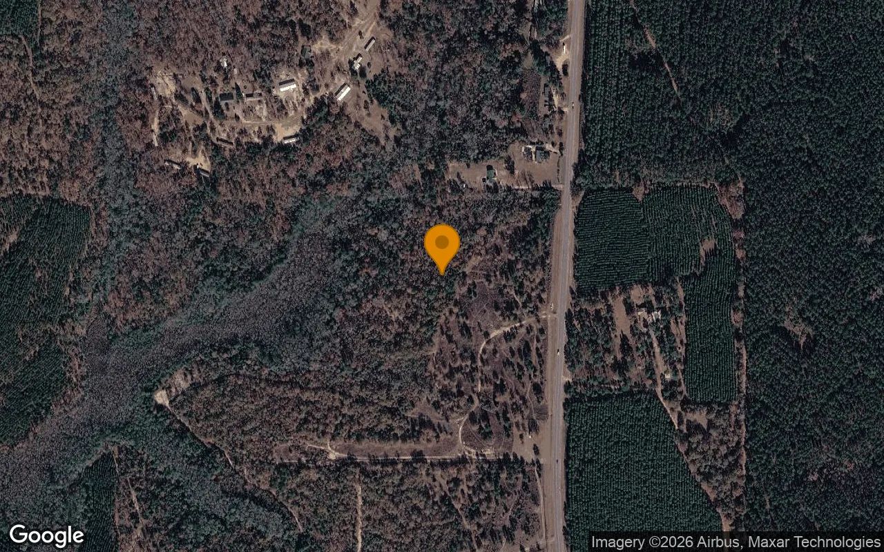 15.08 Acres in Buena Vista - Marion County, GA in Marion County, GA
