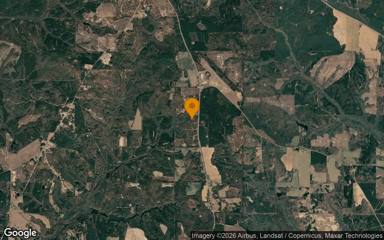 15.08 Acres in Buena Vista - Marion County, GA in Marion County, GA