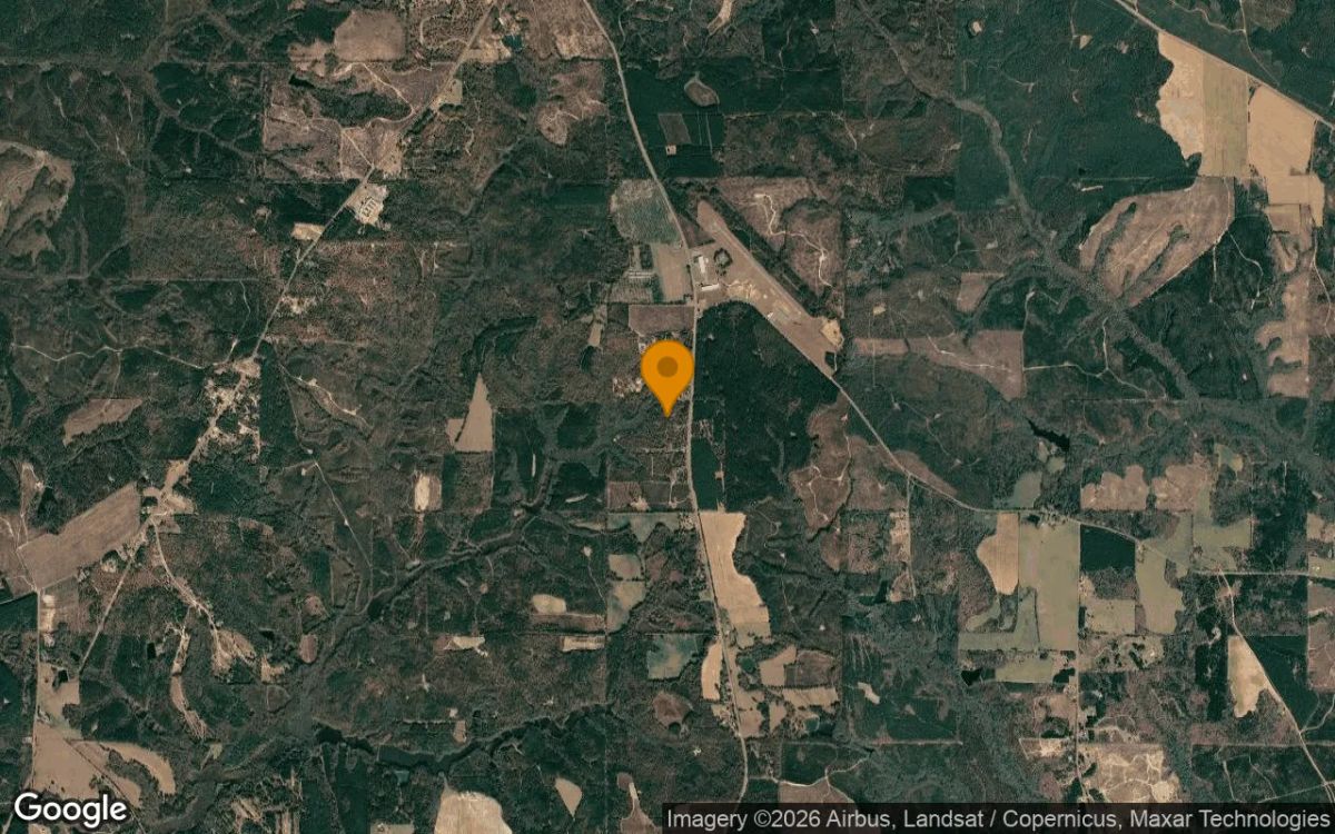 15.08 Acres in Buena Vista - Marion County, GA - Image 3