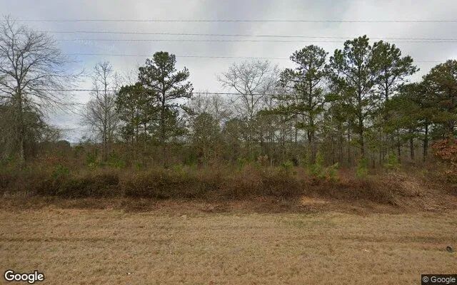 15.08 Acres in Buena Vista - Marion County, GA in Marion County, GA