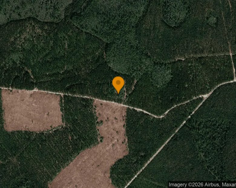 0.82 Acres in Du Pont - Clinch County, GA in Clinch County, GA
