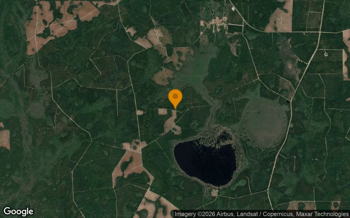 0.82 Acres in Du Pont - Clinch County, GA - Image 3